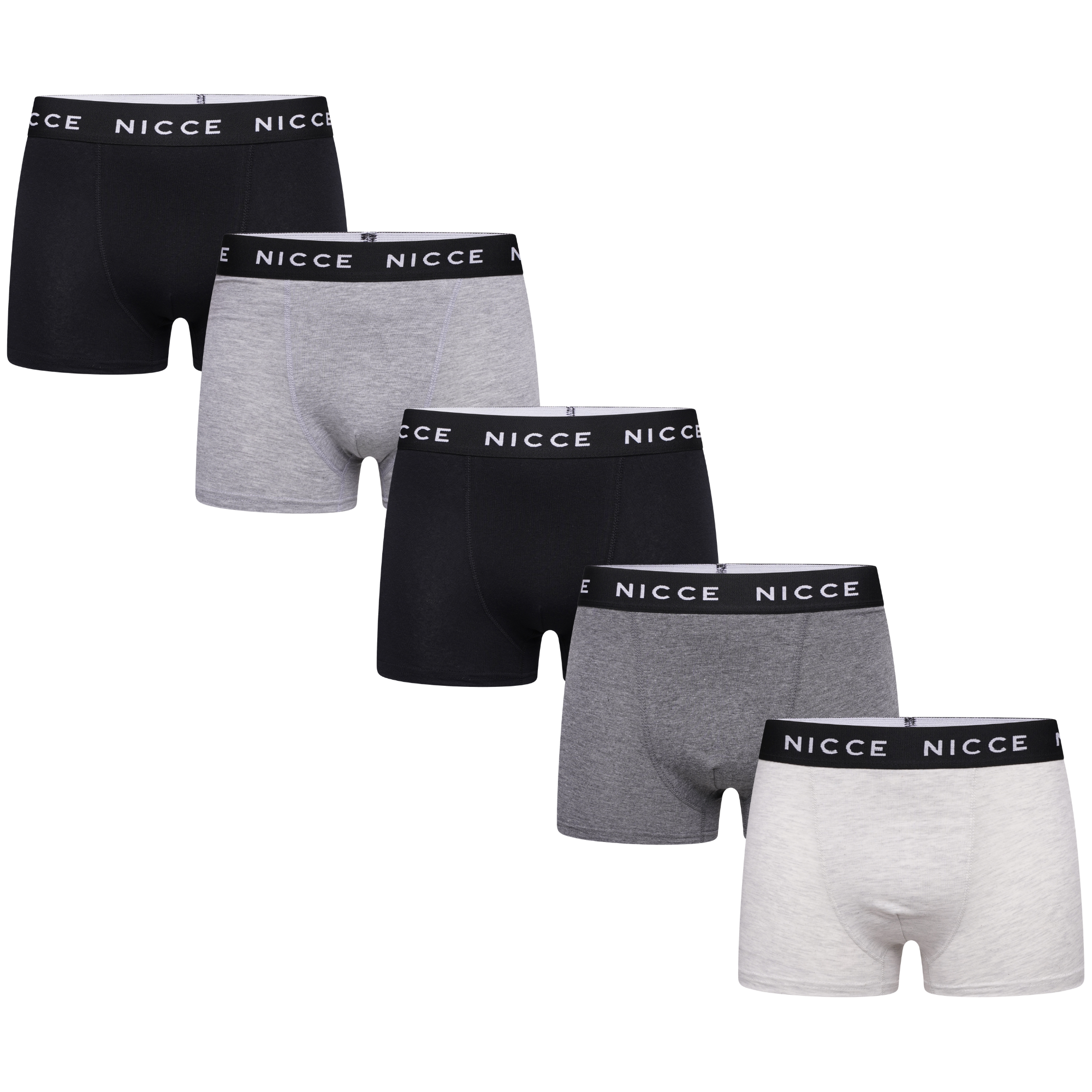 5 Pack Boxers Haunton